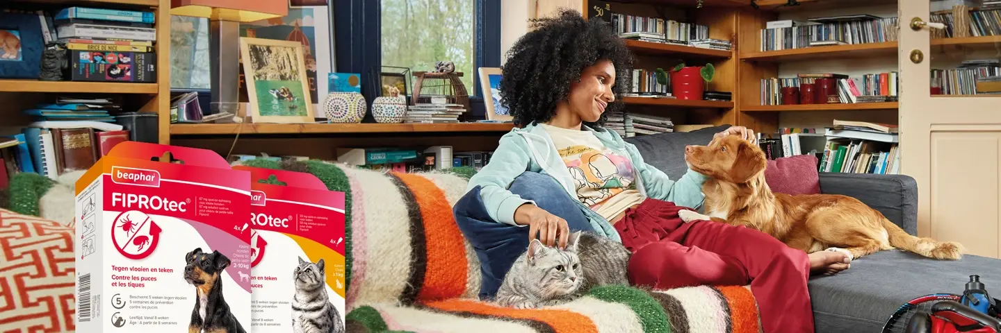 beaphar fiprotec vlooien tekendruppels hond kat