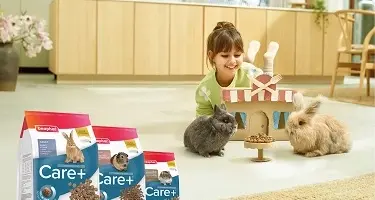 Beaphar Care+