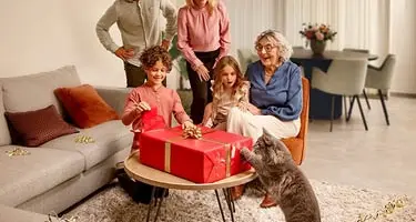 CatComfort stelt kat gerust bij stress feestdagen