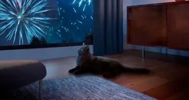 CatComfort stressvrije feestdagen kat