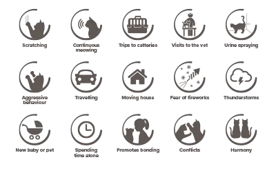 Beaphar CatComfort stress situations