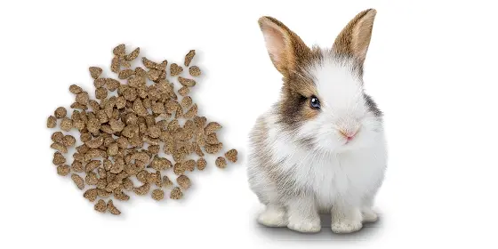 Beaphar Care+ brokjes