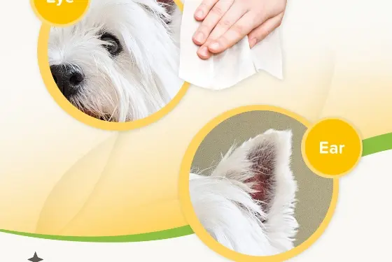 Where to use Beaphar Pet Wipes - Ear & Eye