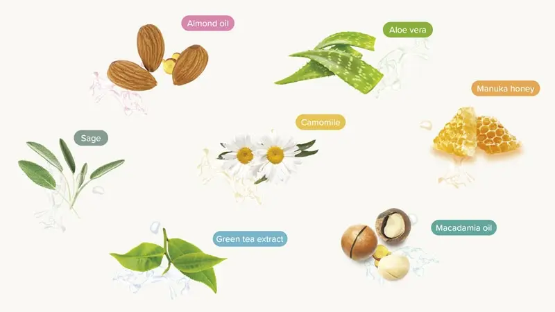 Beaphar Shampoo range ingredients