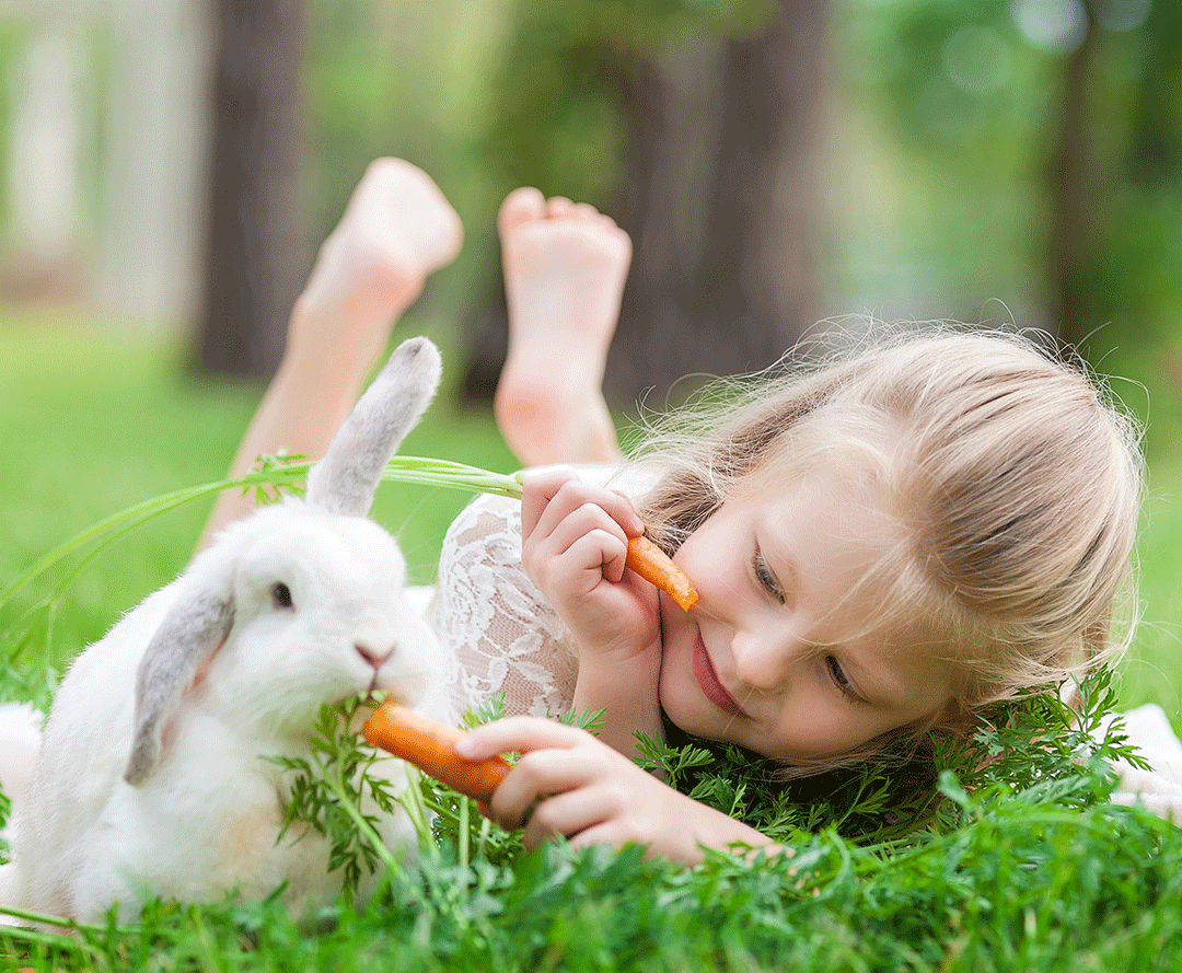 girl and rabbit eating carrots